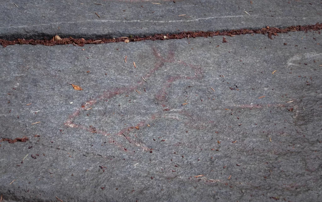 Photograph of petroglyphs at Evenhus.