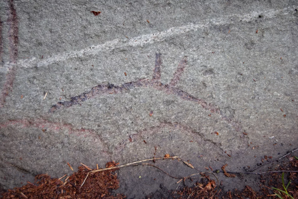 Photograph of petroglyphs at Evenhus.
