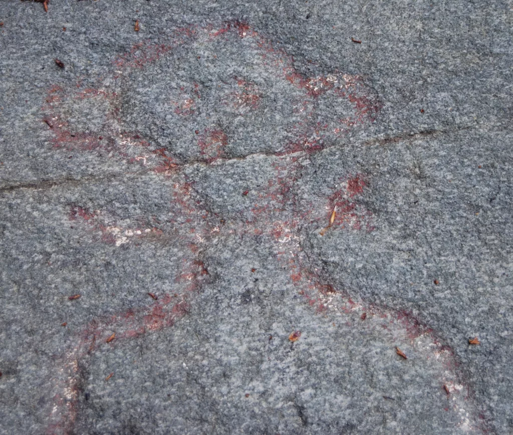 Photograph of petroglyphs at Evenhus.