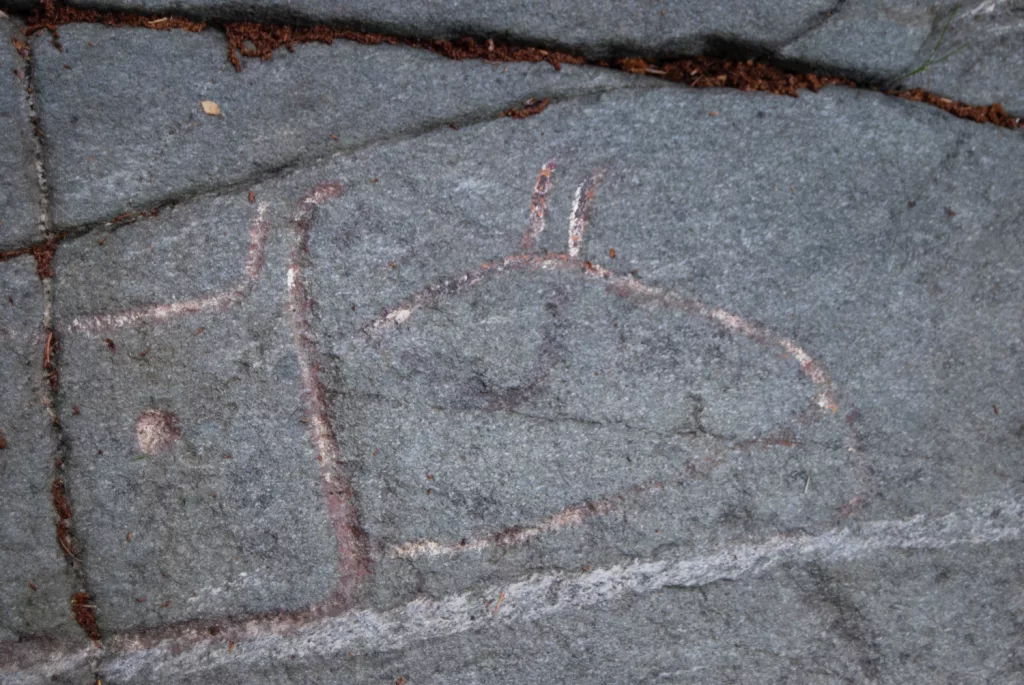 Photograph of petroglyphs at Evenhus.