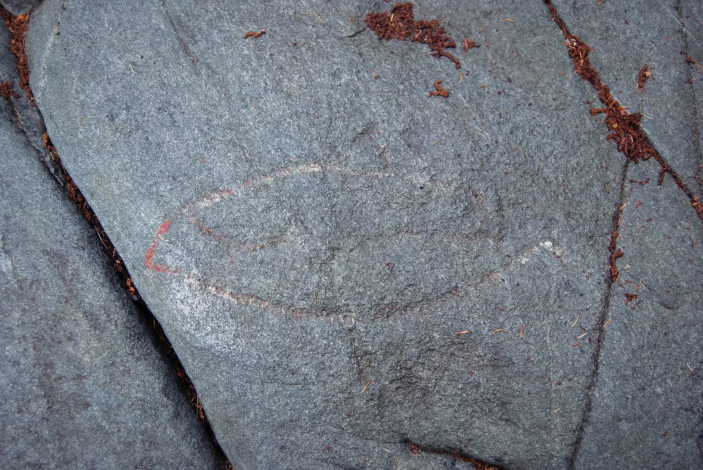 Photograph of petroglyphs at Evenhus.