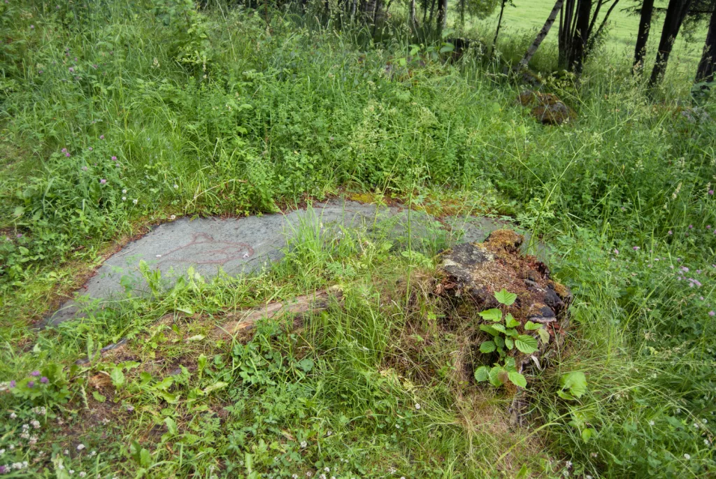 Photograph of petroglyphs at Evenhus.