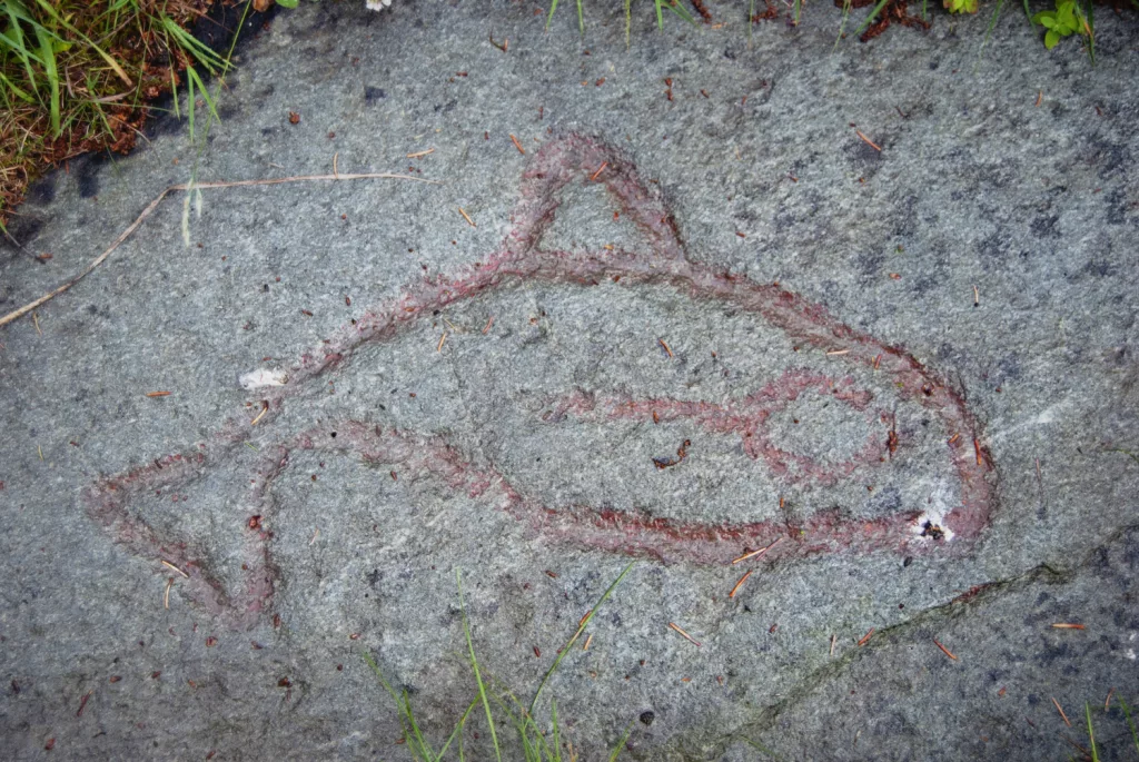 Photograph of petroglyphs at Evenhus.