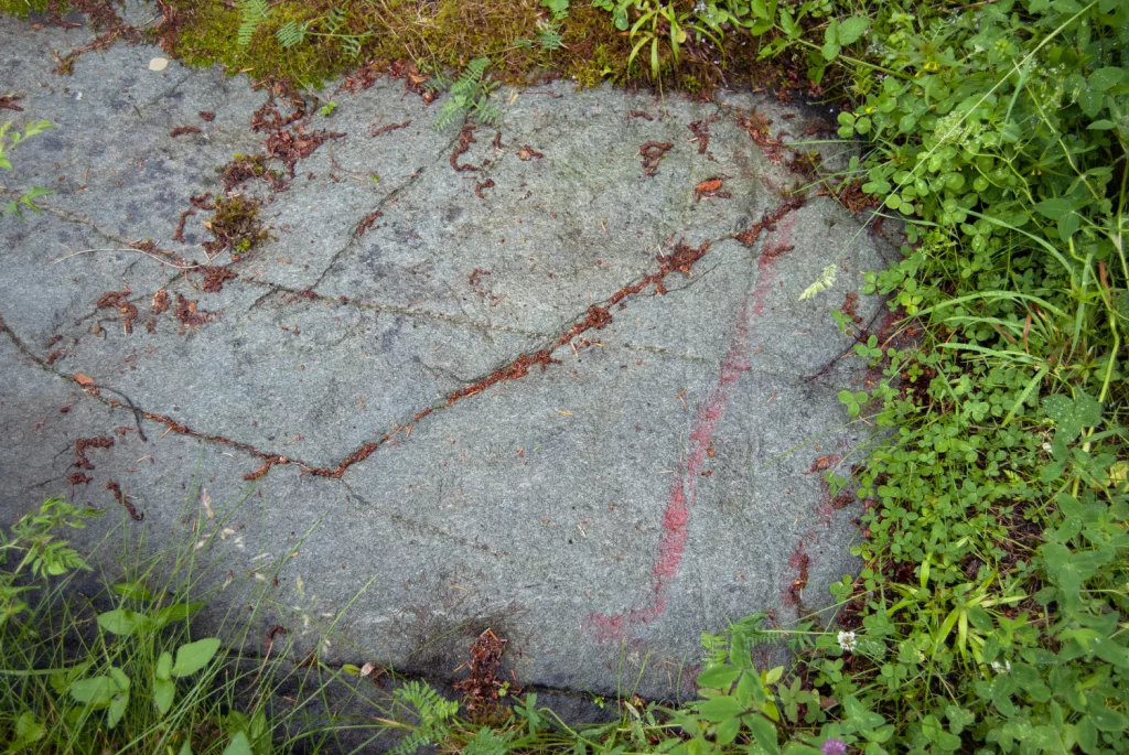 Photograph of petroglyphs at Evenhus.