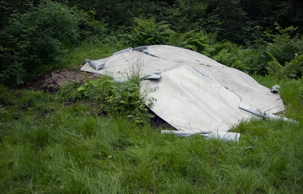 Photograph of covered petroglyphs at Kvennavika.
