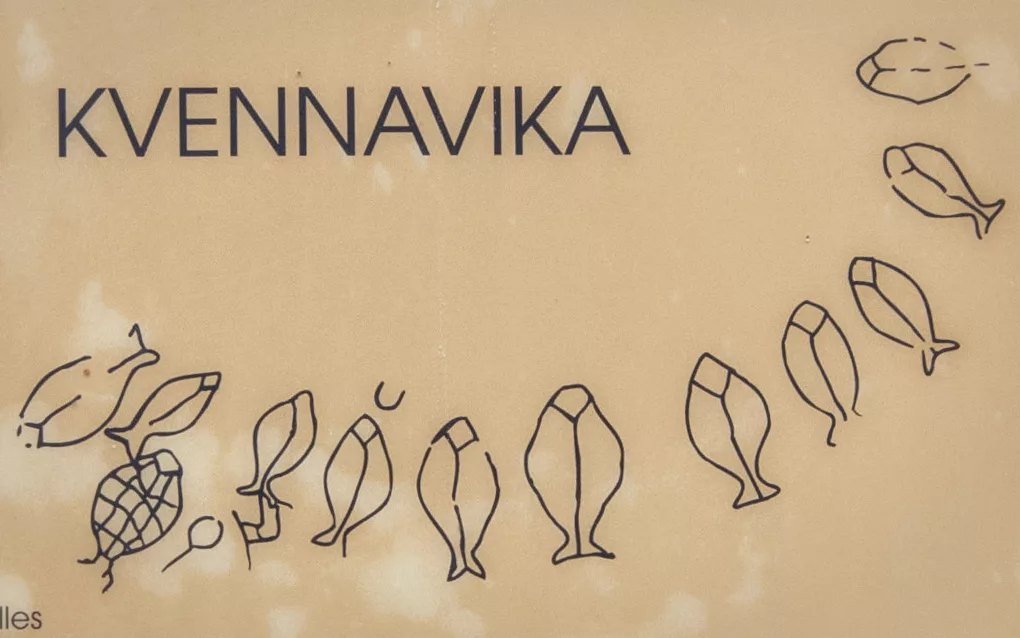 Photograph of a sign at Kvennavika with illustrations of the fish figure petroglyphs.