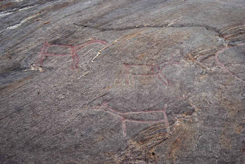 Photograph of the petroglyphs at Bogge.