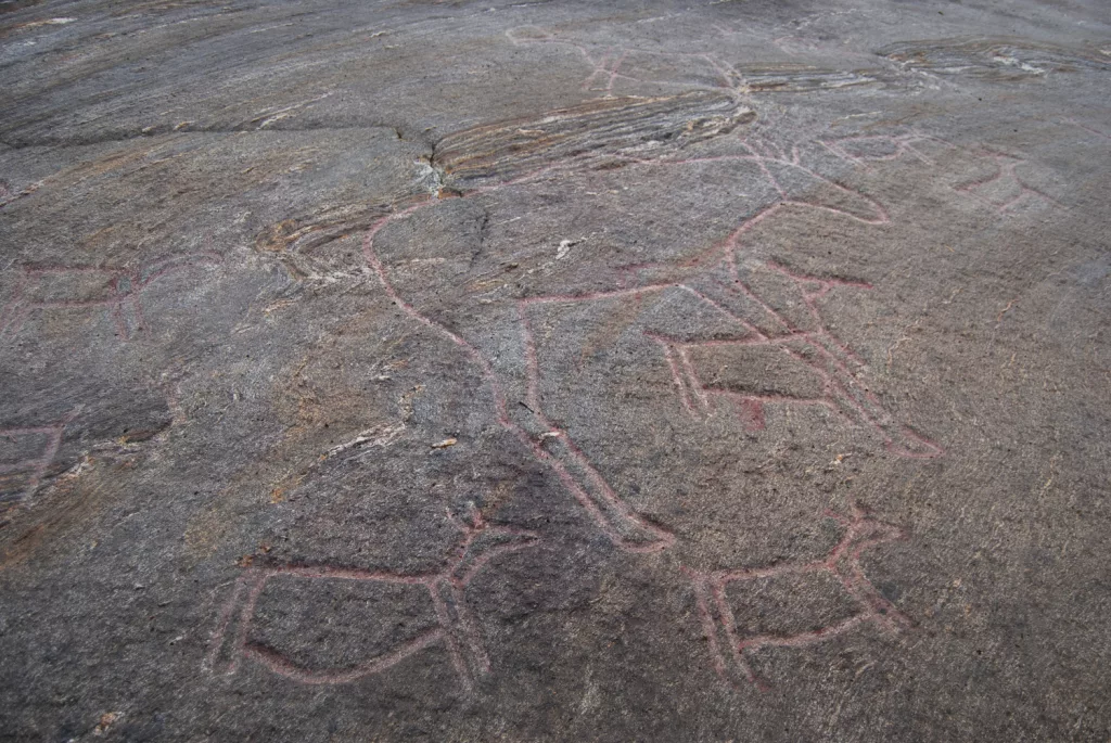 Photograph of the petroglyphs at Bogge.