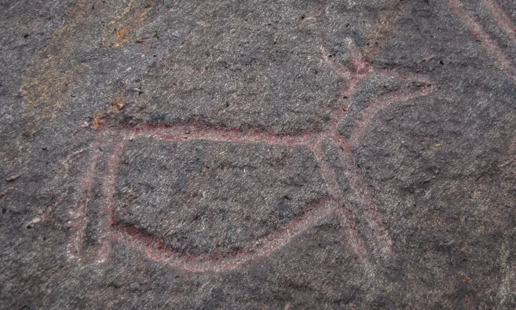 Photograph of the petroglyphs at Bogge.