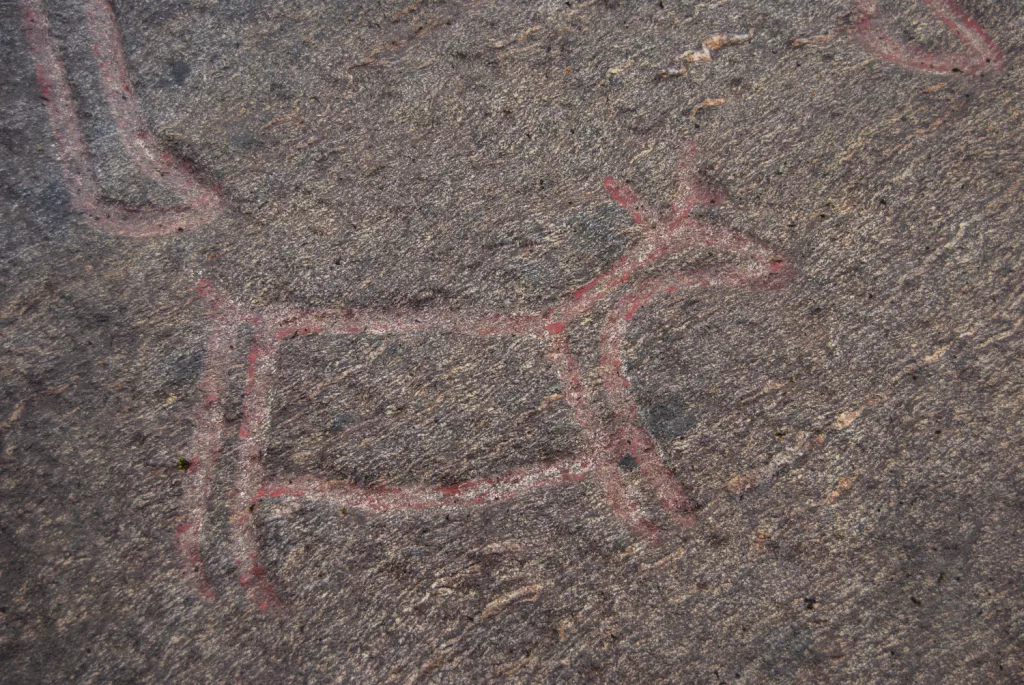 Photograph of the petroglyphs at Bogge.