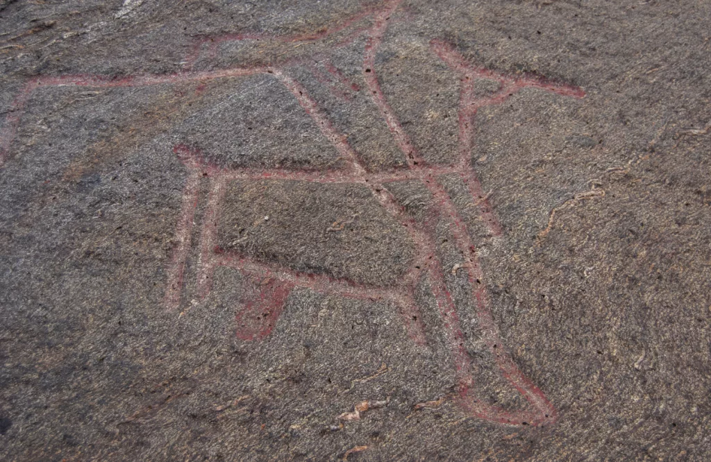 Photograph of the petroglyphs at Bogge.