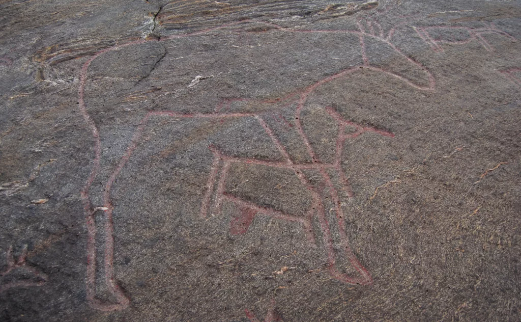 Photograph of the petroglyphs at Bogge.