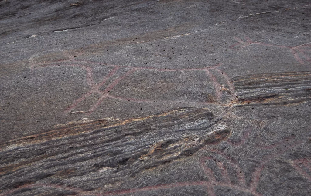 Photograph of the petroglyphs at Bogge.