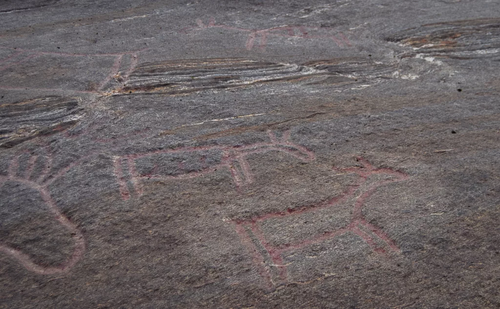 Photograph of the petroglyphs at Bogge.