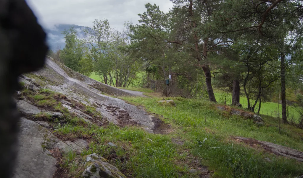 Photograph of the petroglyphs at Bogge.