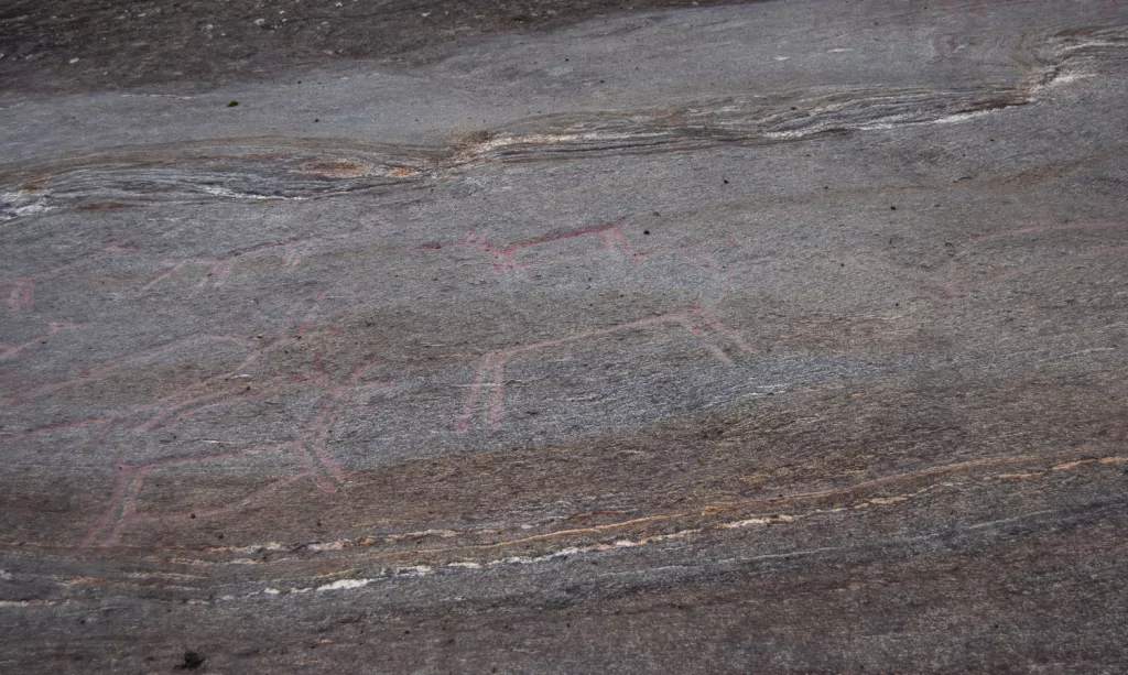 Photograph of the petroglyphs at Bogge.