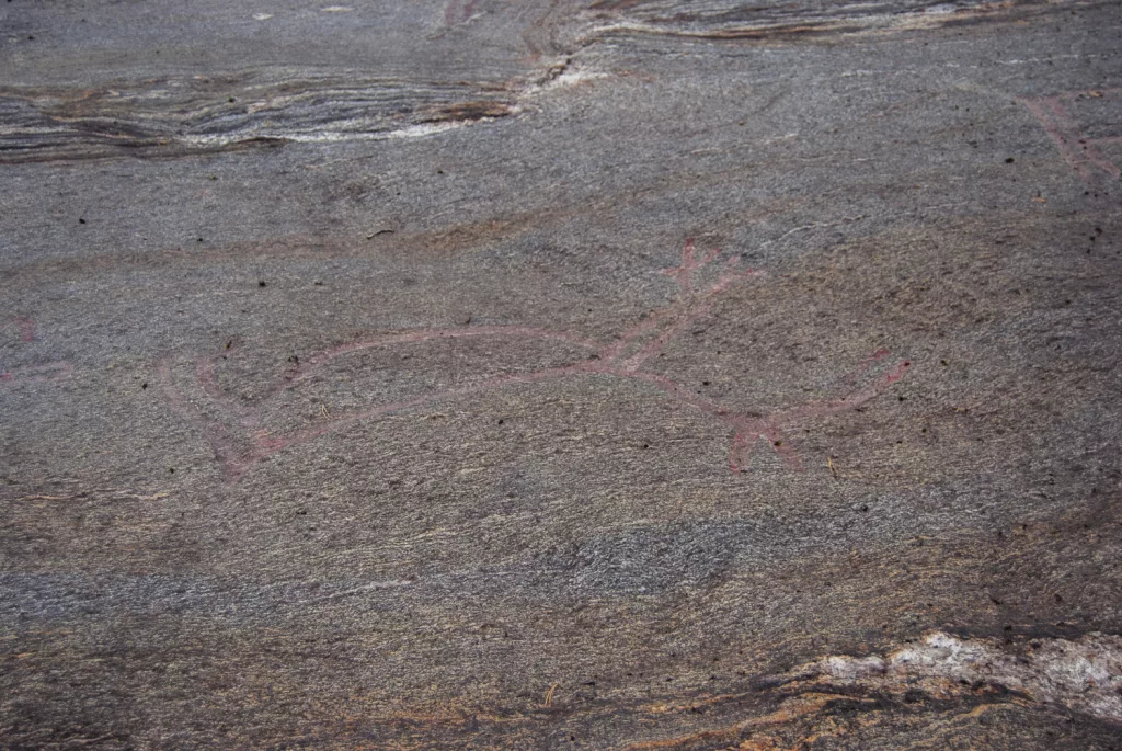 Photograph of the petroglyphs at Bogge.