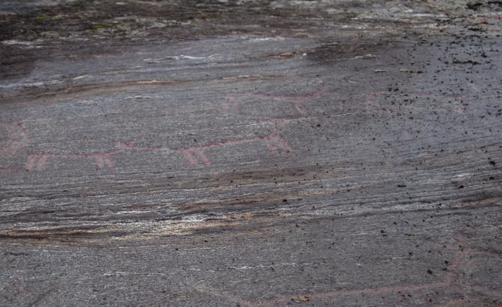 Photograph of the petroglyphs at Bogge.