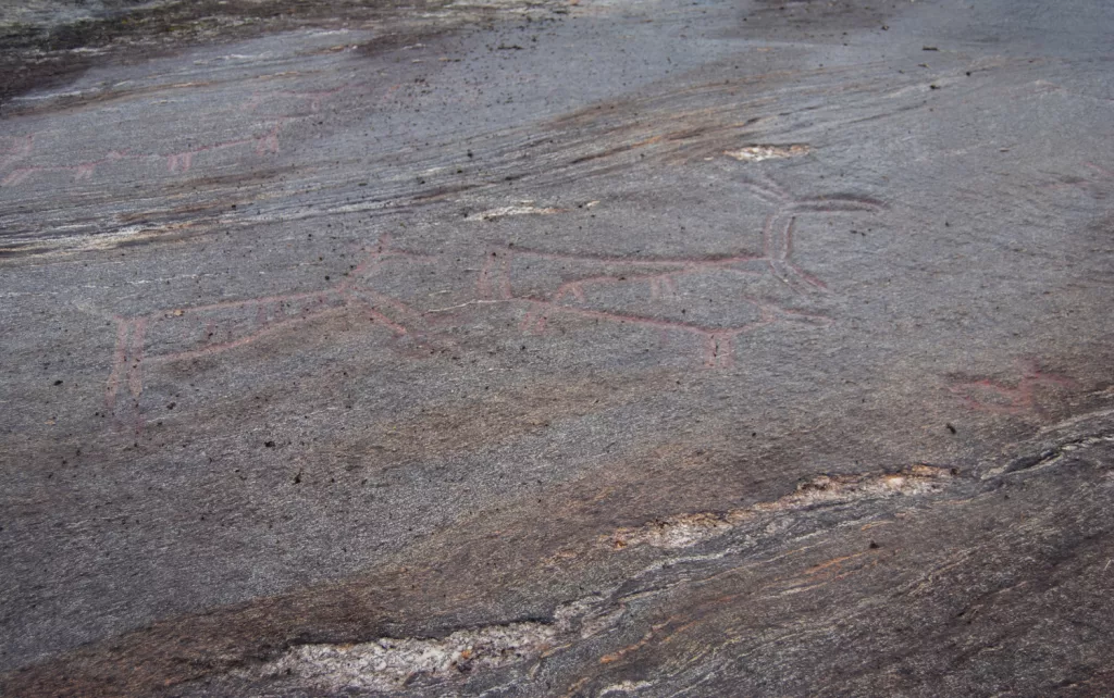 Photograph of the petroglyphs at Bogge.