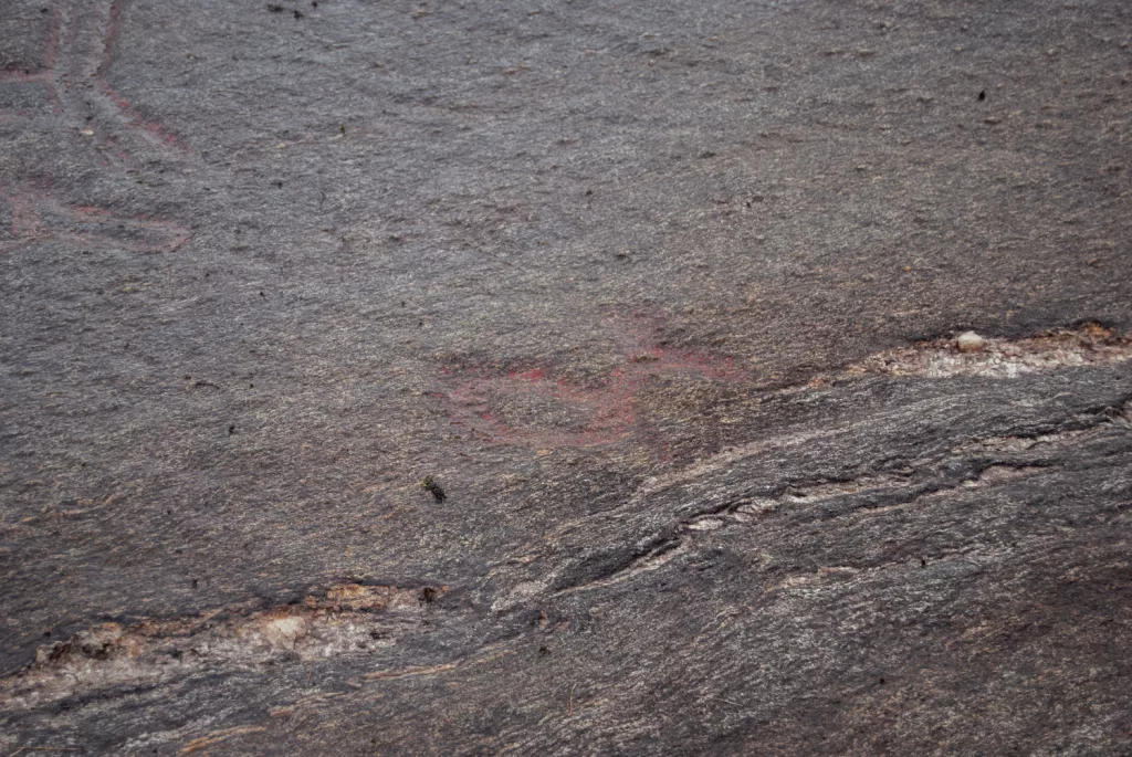 Photograph of the petroglyphs at Bogge.