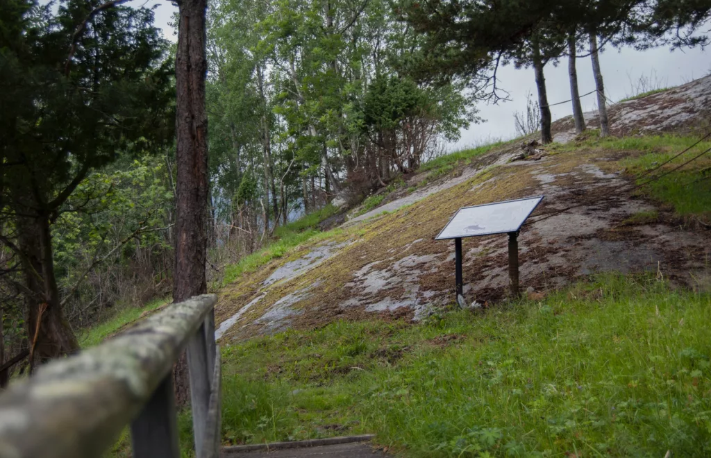 Photograph of the petroglyphs at Bogge.