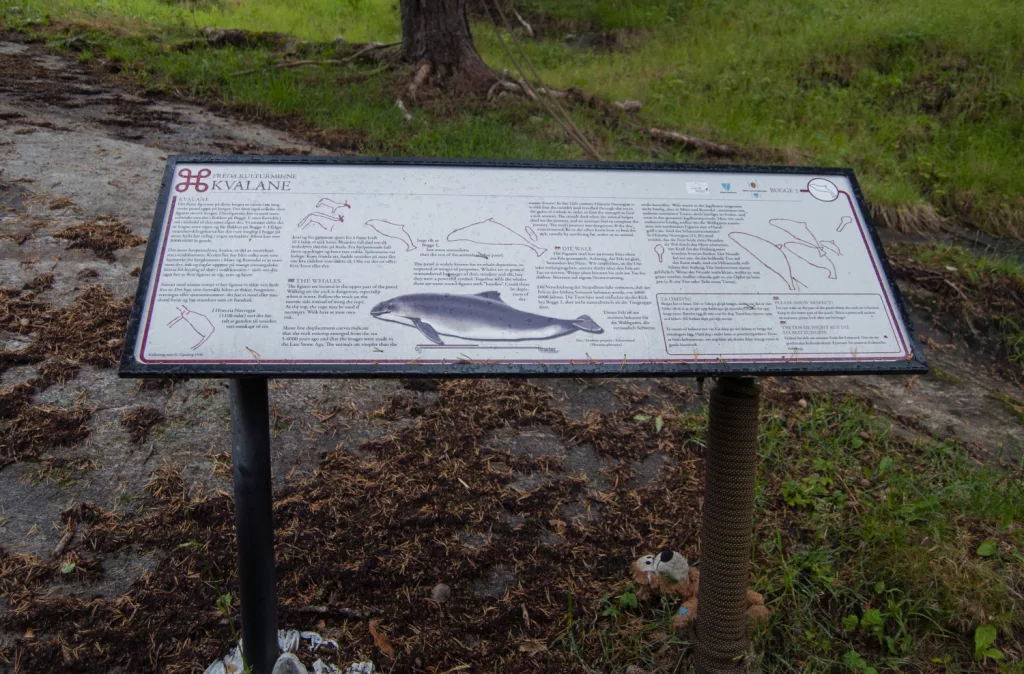Photograph of an information sign about the petroglyphs at Bogge.