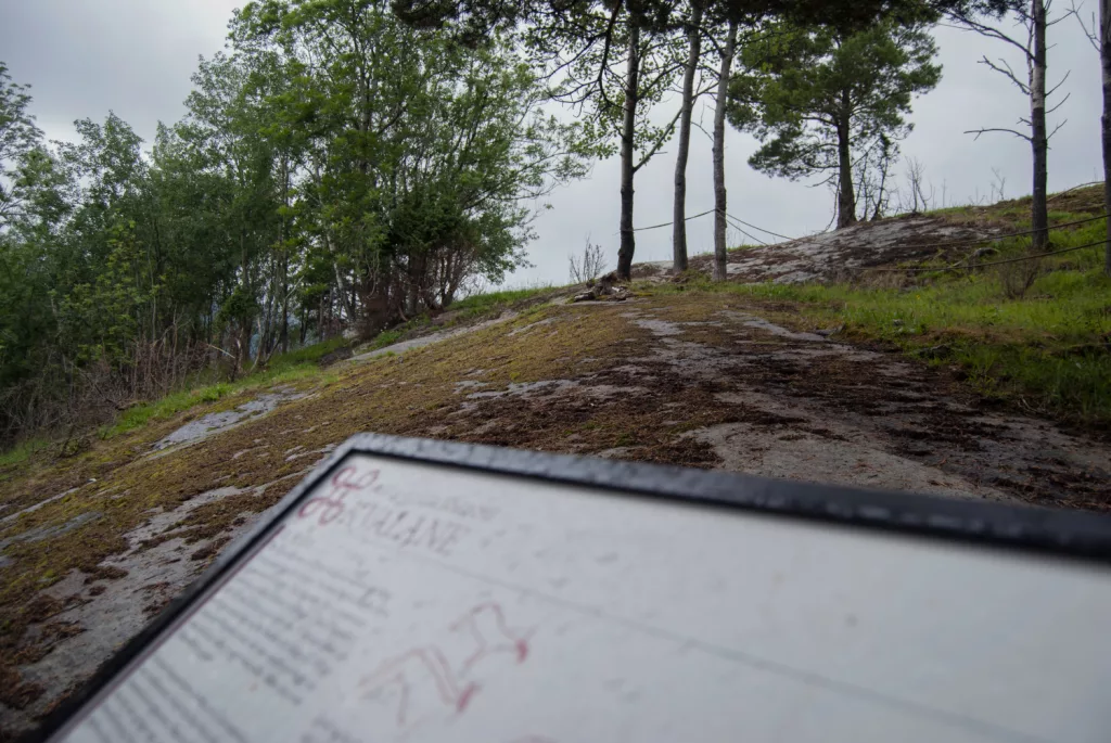 Photograph of the petroglyphs at Bogge.