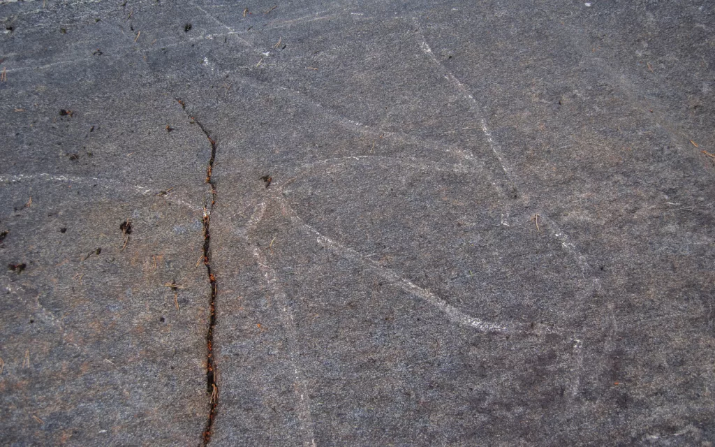Photograph of the petroglyphs at Bogge.