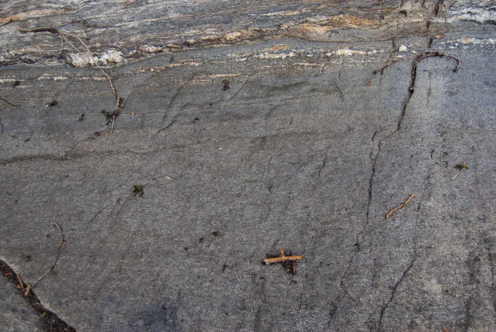 Photograph of the petroglyphs at Bogge.