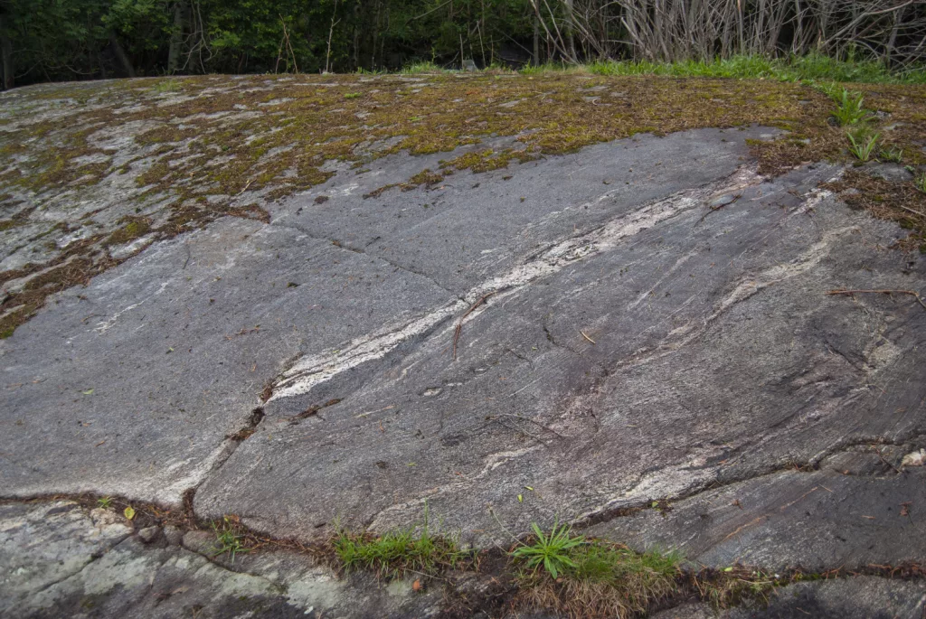 Photograph of the petroglyphs at Bogge.