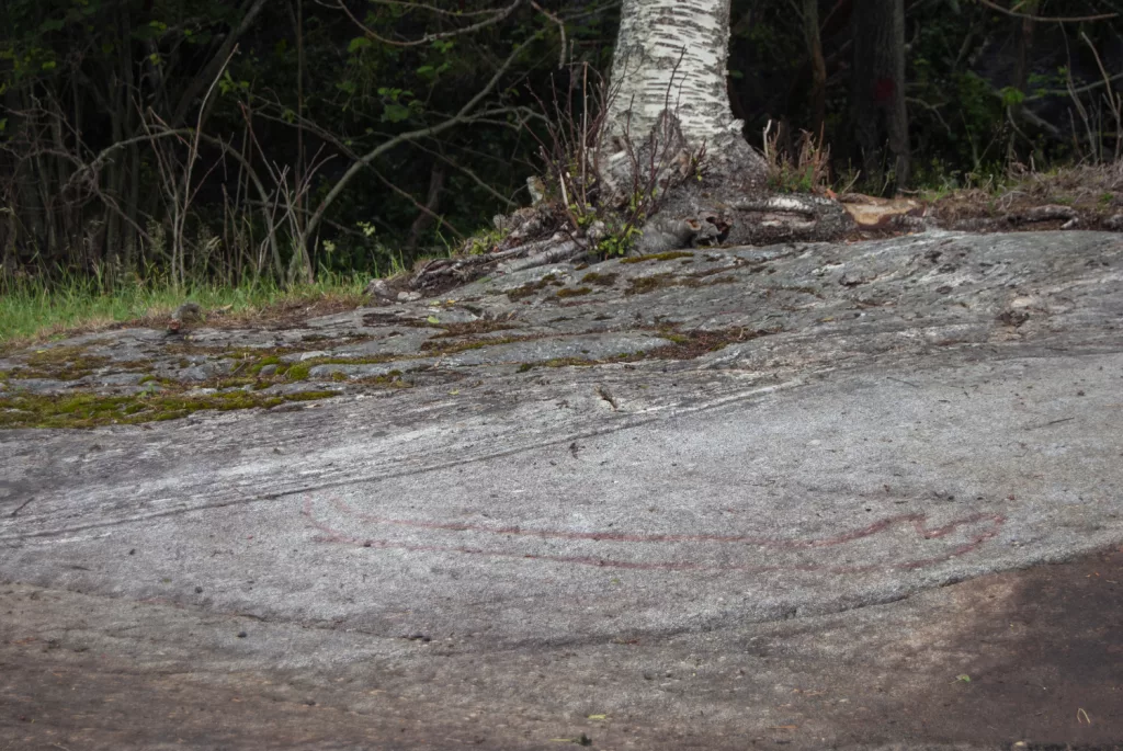 Photograph of the petroglyphs at Bogge.