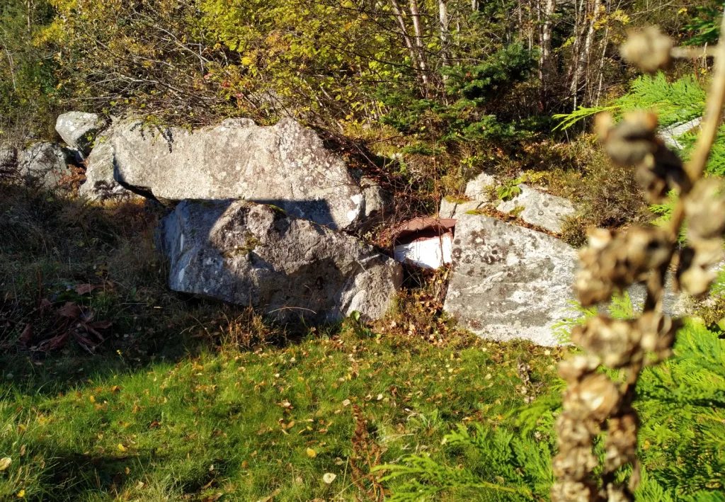 Photograph of the petroglyphs at Reitaneset, Midsund.