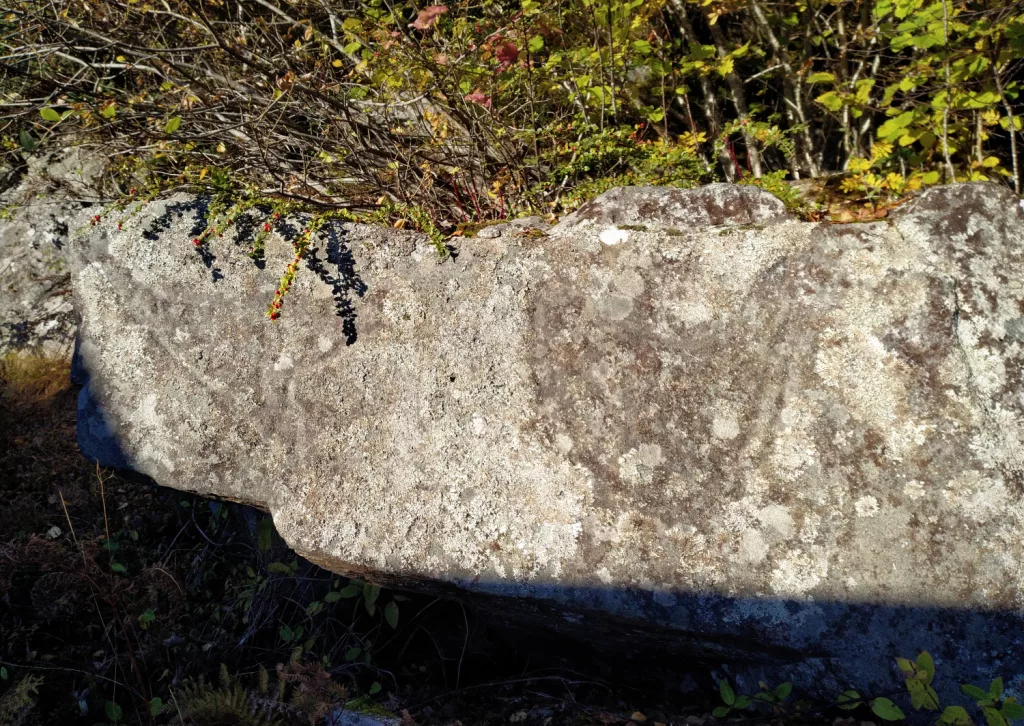 Photograph of the petroglyphs at Reitaneset, Midsund.
