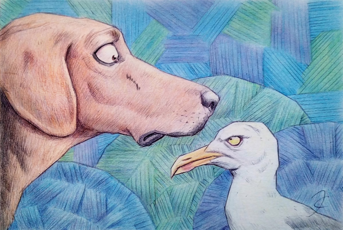 Schiller Hound & Seagull