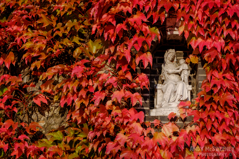 A madonna on a corner in late fall/autumn in Brugge, Belgium.