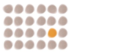 een heleboel grijze bolletjes en een oranje