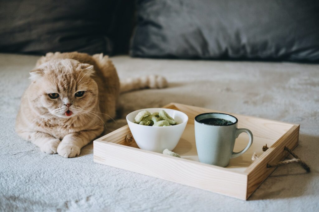 CBD Edibles, CBD-Infused Snacks, Hemp wafers with cannabis. Testy CBD Snacks in bowl and cup of