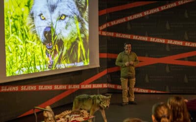 In the wolf’s footsteps! Lecture with Thomas Boesdal