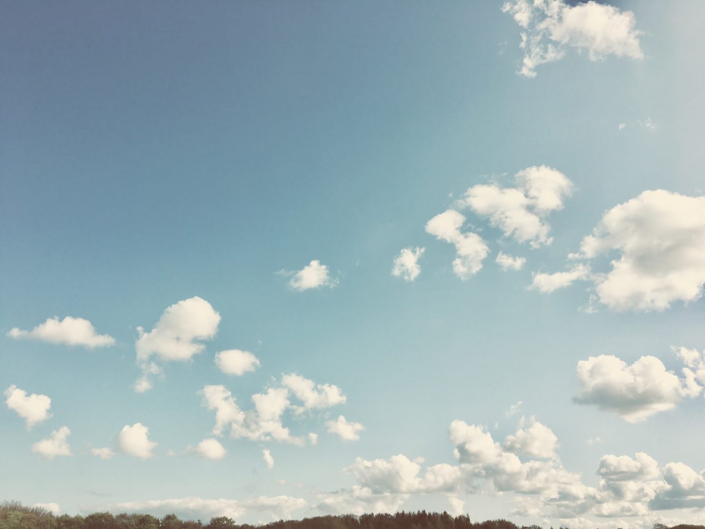 Anja Dalby kampen om tronen. Billedet viser en blå himmel med spredte hvide skyer.