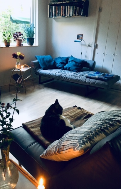 Forkæl dig selv ved at skabe et hyggeligt hjem. Anja Dalbys stue med bløde sofaer, katten der ligger og sover i en af dem og blomster på sofabord og i vindueskarmen.