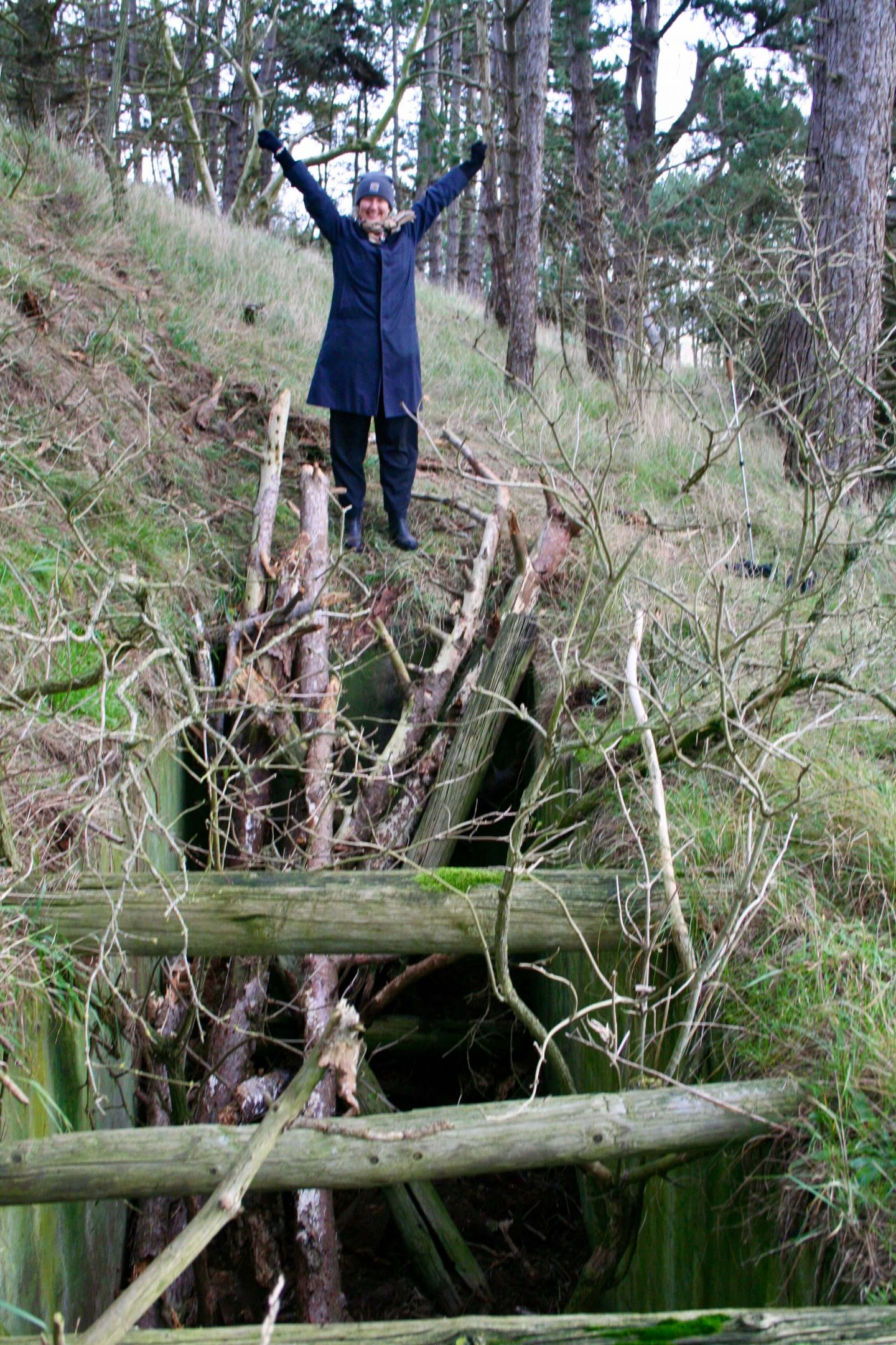 Mig foran hullet her til morgen. Grævlingen var kommet op via træstamme-stigen og jeg fejrede det med armene i vejret.