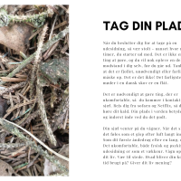 Magisk arbejde i skoven, en e-bog om udesidning af Anja Dalby