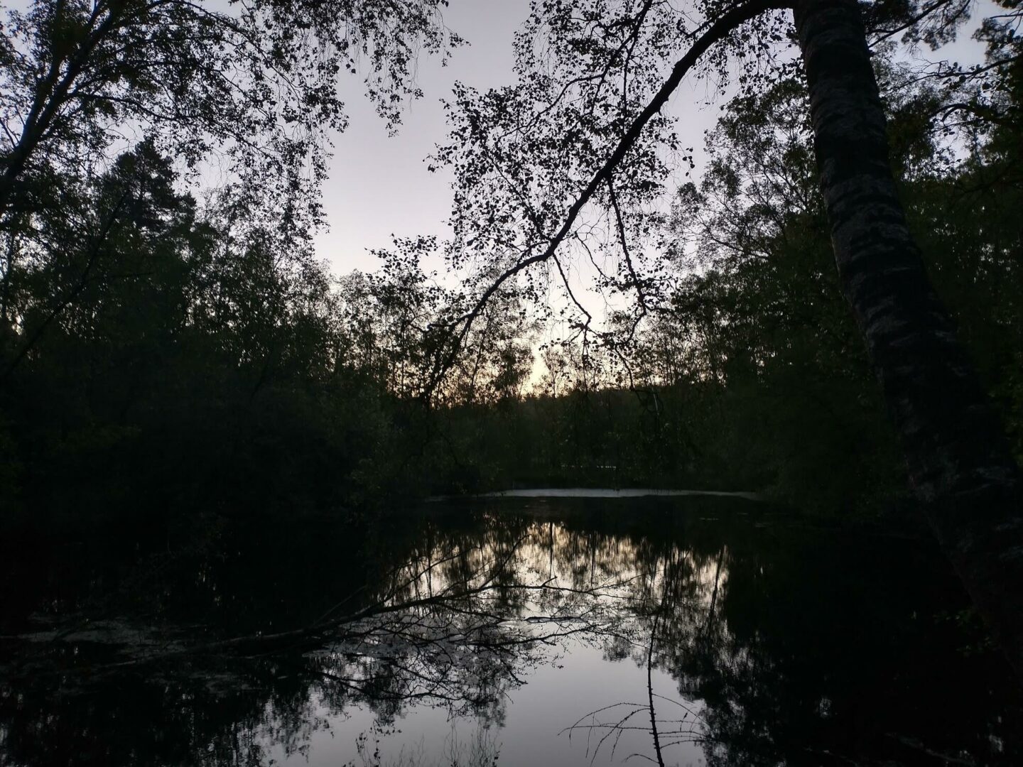 Scener fra en udesidning. Søen om morgenen, mens solen var ved at stå op.