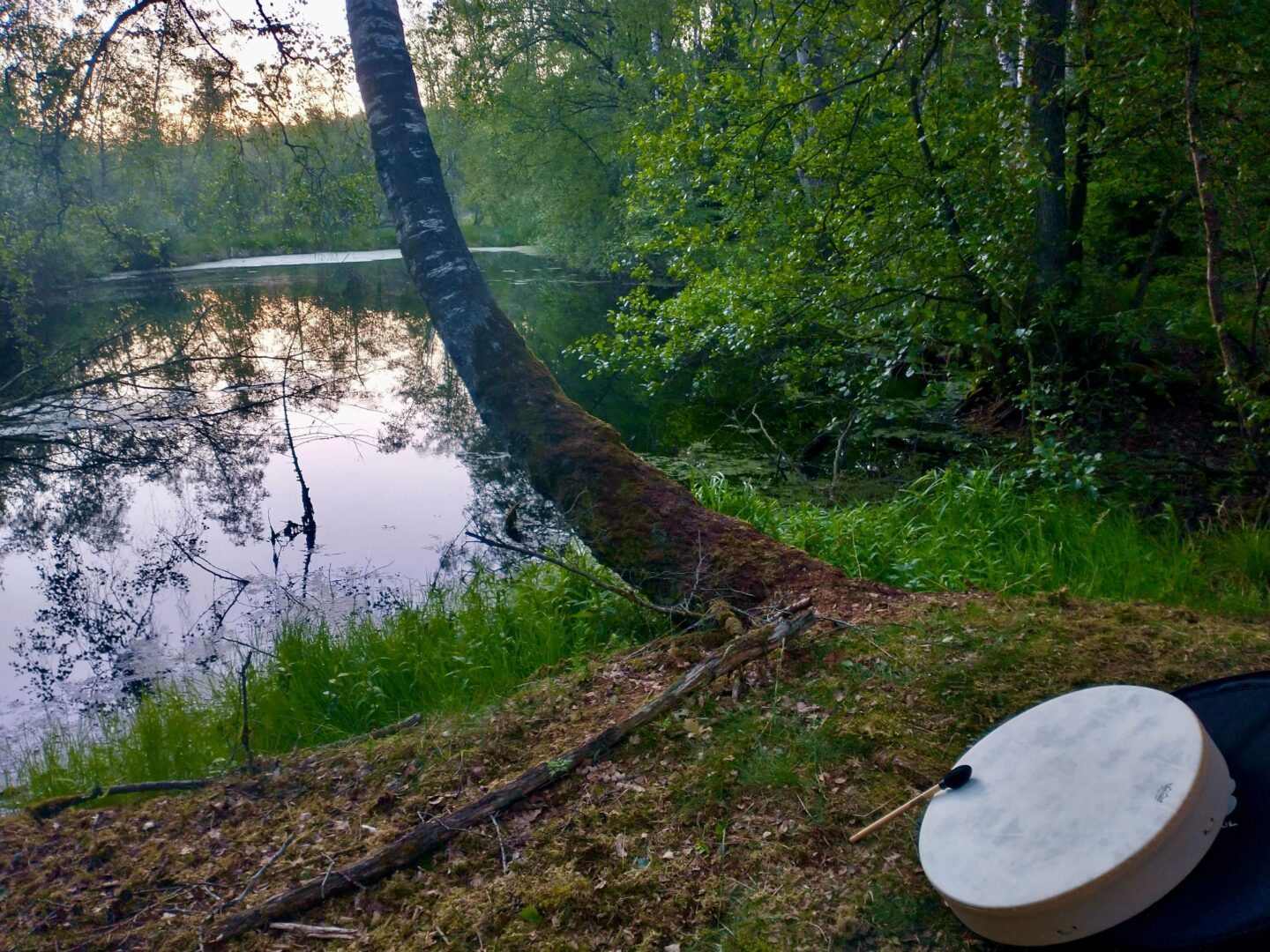 Hvorfor tage på en udesidning? Det kunne blandt andet være for at høre når trommen kalder dig hjem om morgenen, efter natten i skoven. Bare det er en helt særlig oplevelse.