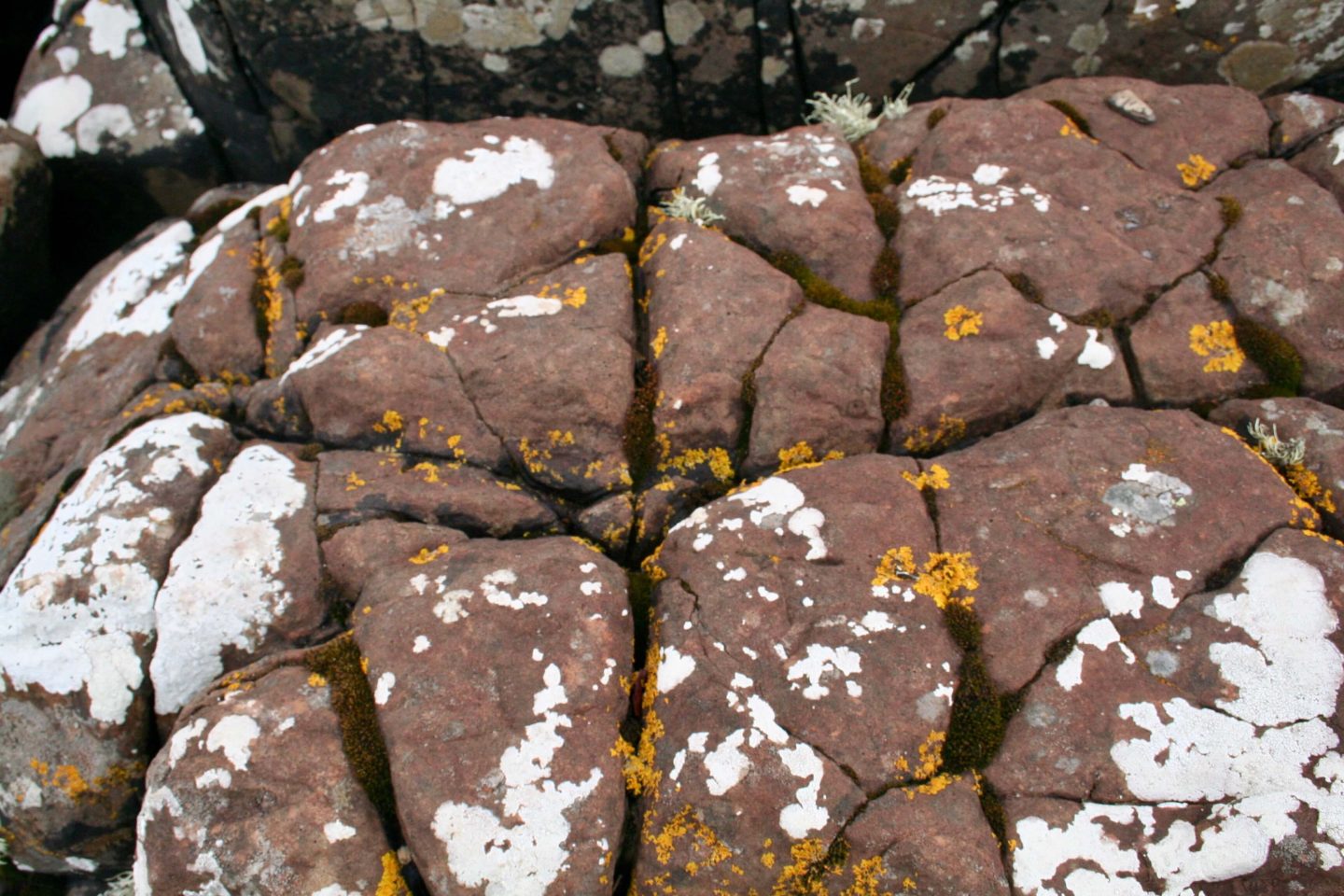 Jord elementet i form af en klippe i Skotland