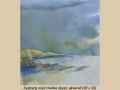 svaberg-m-morke-skyer