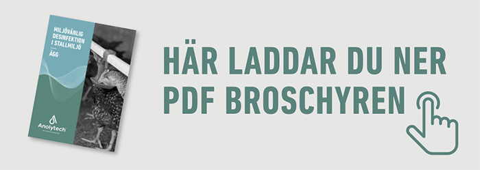 Ladda ner PDF broschyr ägg