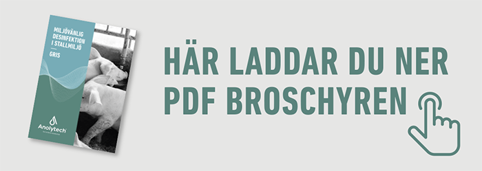 Ladda ner PDF broschyr gris