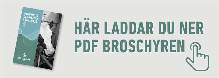 Ladda ner PDF broschyr ko