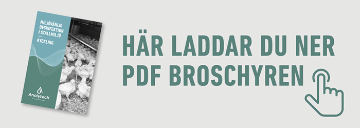 Ladda ner PDF broschyr kyckling